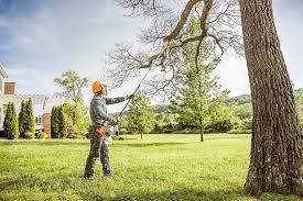 Best Emergency Tree Removal  in Longview, WA