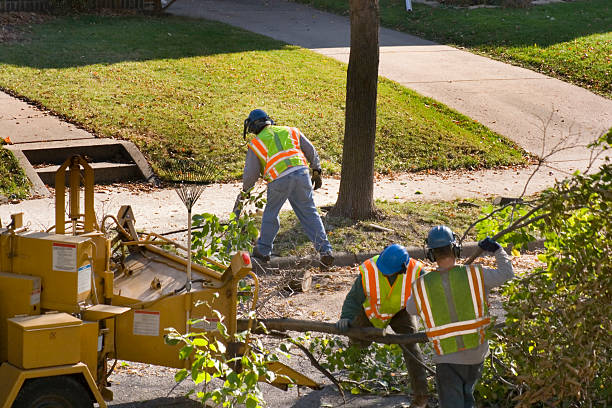 Lawn Irrigation Installation and Maintenance in Longview, WA